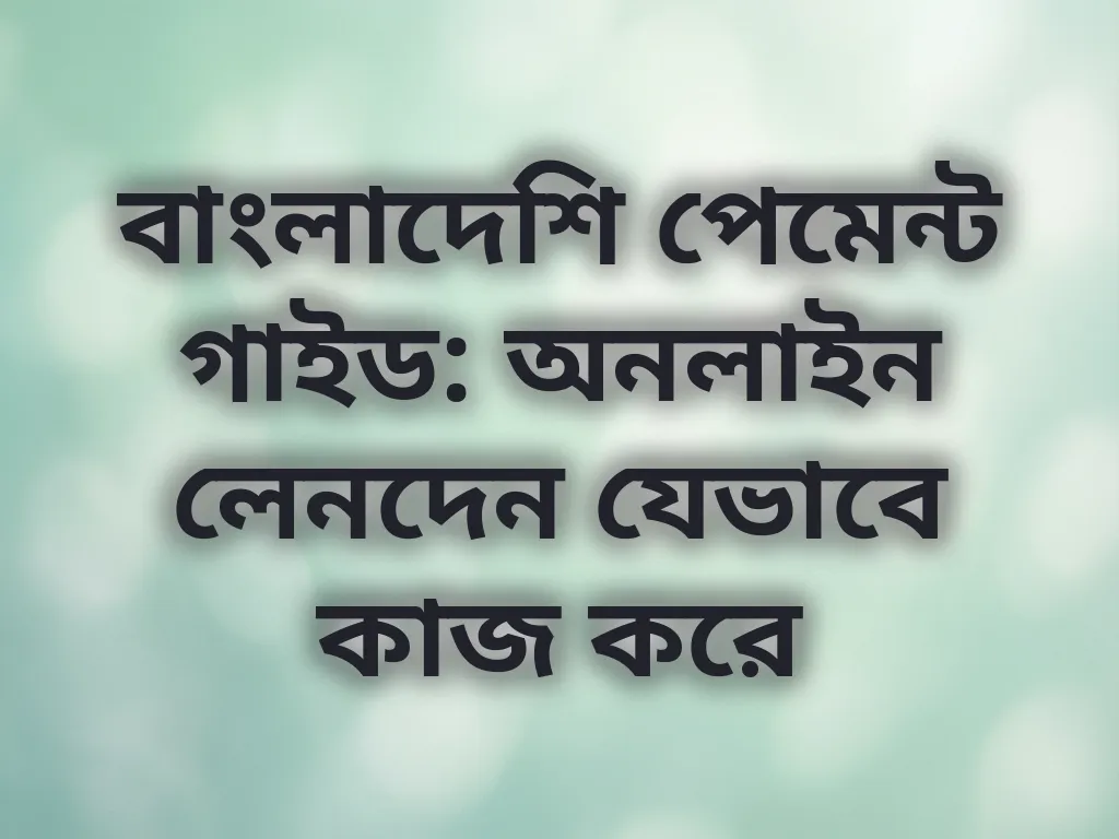 পেমেন্ট গাইড